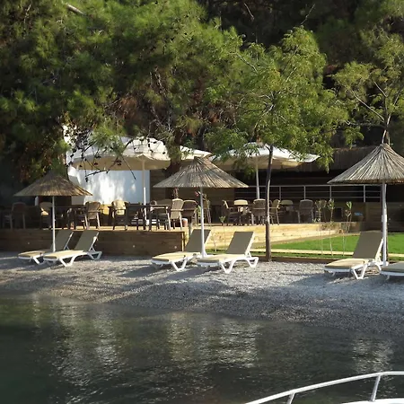 Отель Alesta Yacht 4*