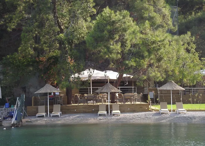 Alesta Yacht Φετιγιέ