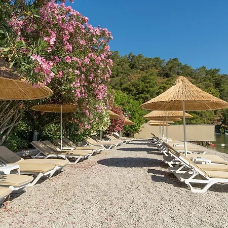 Alesta Yacht Hotel