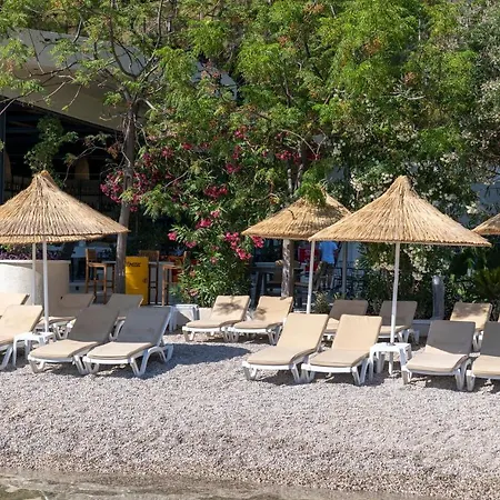 Hotell Alesta Yacht 4*