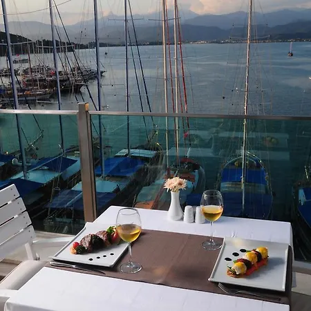 Alesta Yacht