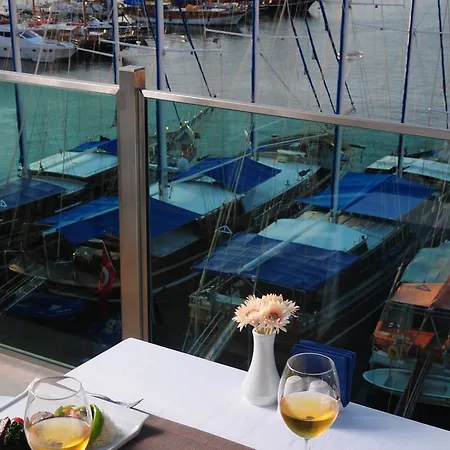 Alesta Yacht 4*